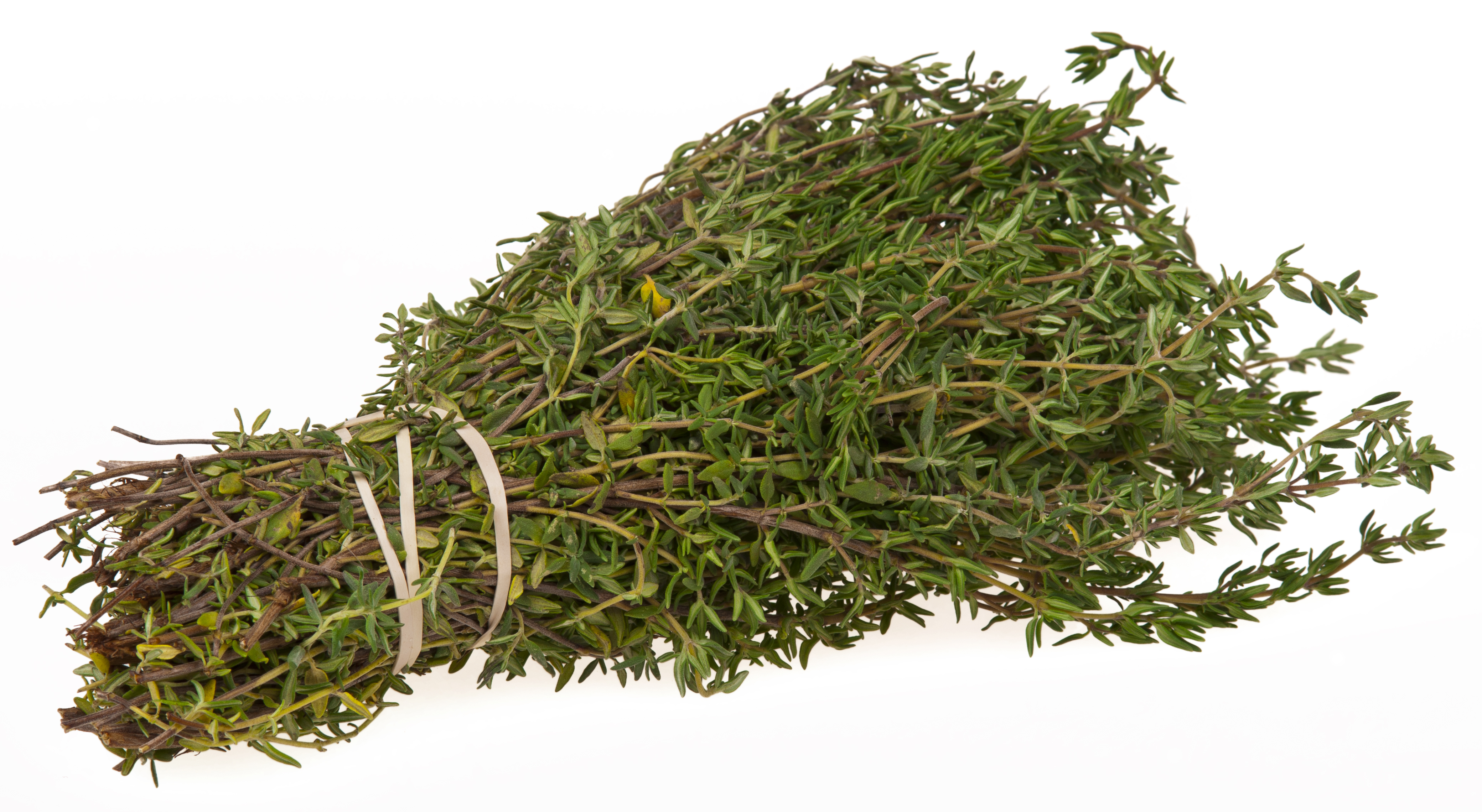 Thyme Secrets Of Culinary Herbs